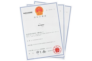 HV HIPOT英文商标注册证